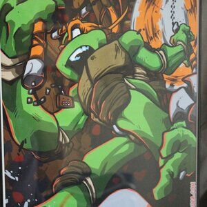 Set of 3 Teenage Mutant Ninja Turtle framed posters